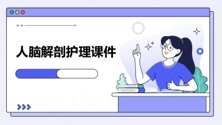 人脑解剖护理课件