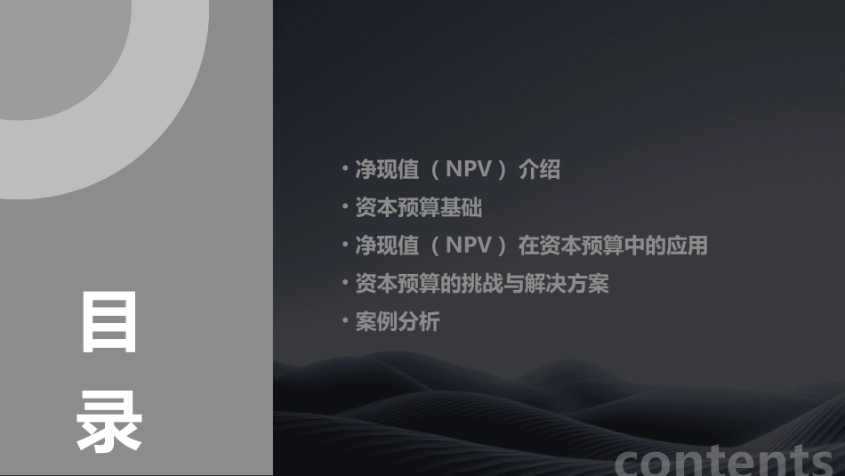 净现值和资本预算课件_第2页