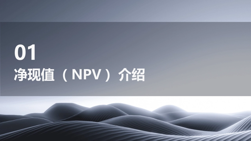 净现值和资本预算课件_第3页