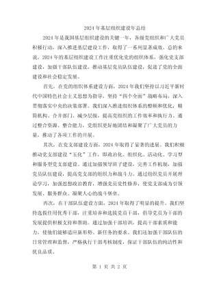 2024年基层组织建设年总结