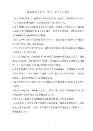 副总经理(安全、生产)安全生产职责 
