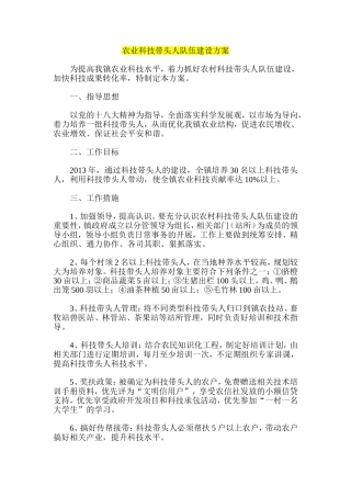 农业科技带头人队伍建设方案