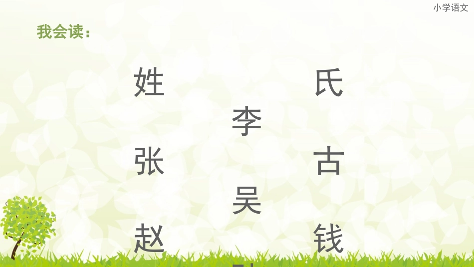 【识字2】《姓氏歌》ppt课件(16页)_第2页