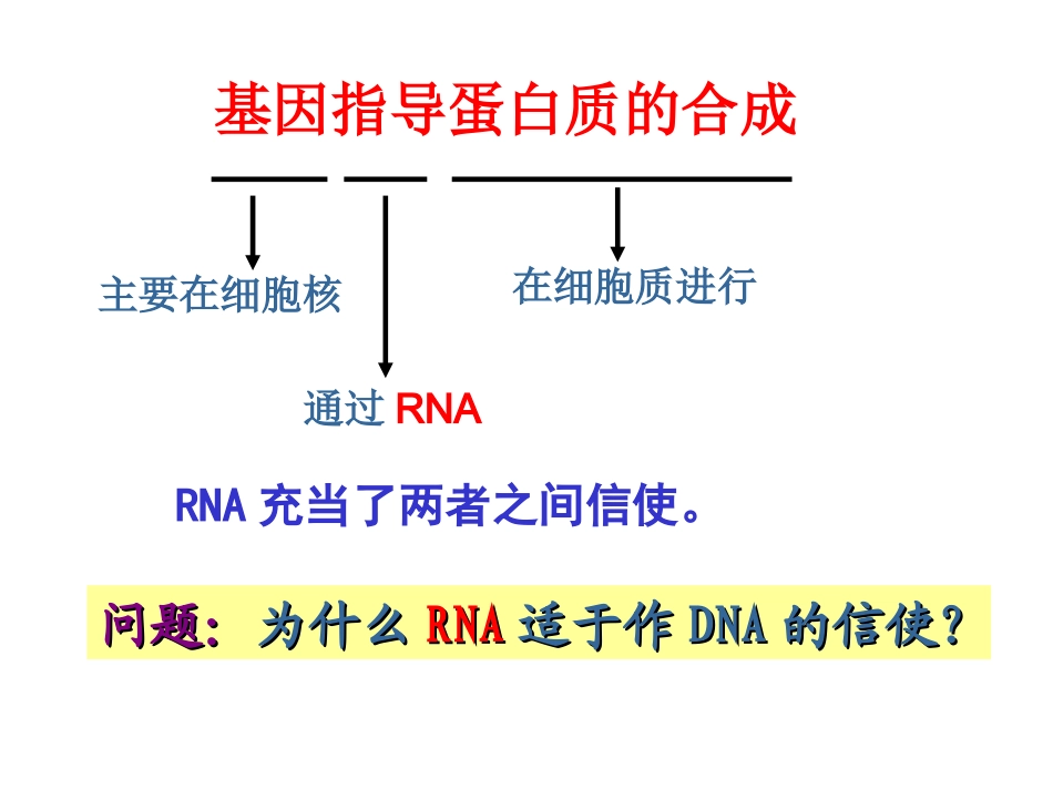必修二-基因指导蛋白质的合成_第3页