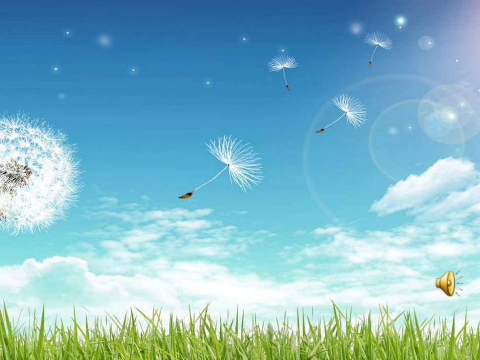 班主任实务案例-(6)_第1页