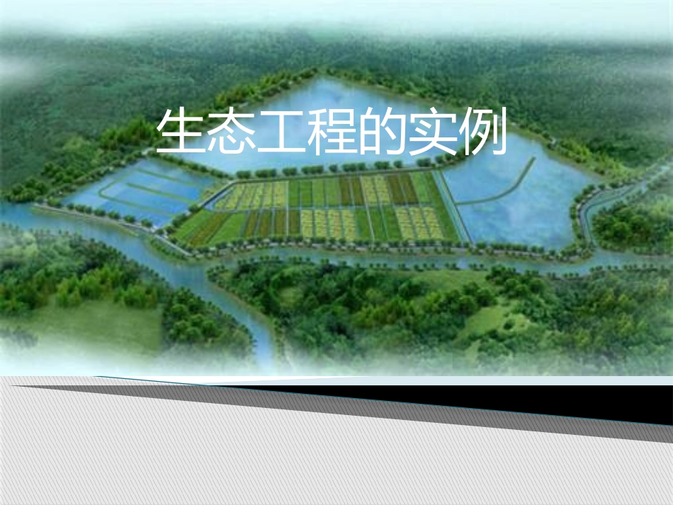 5.2-生态工程的实例和发展前景_第1页