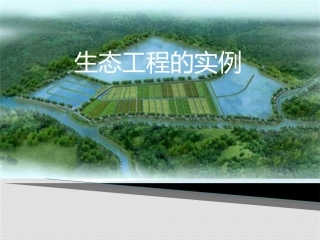 5.2-生态工程的实例和发展前景