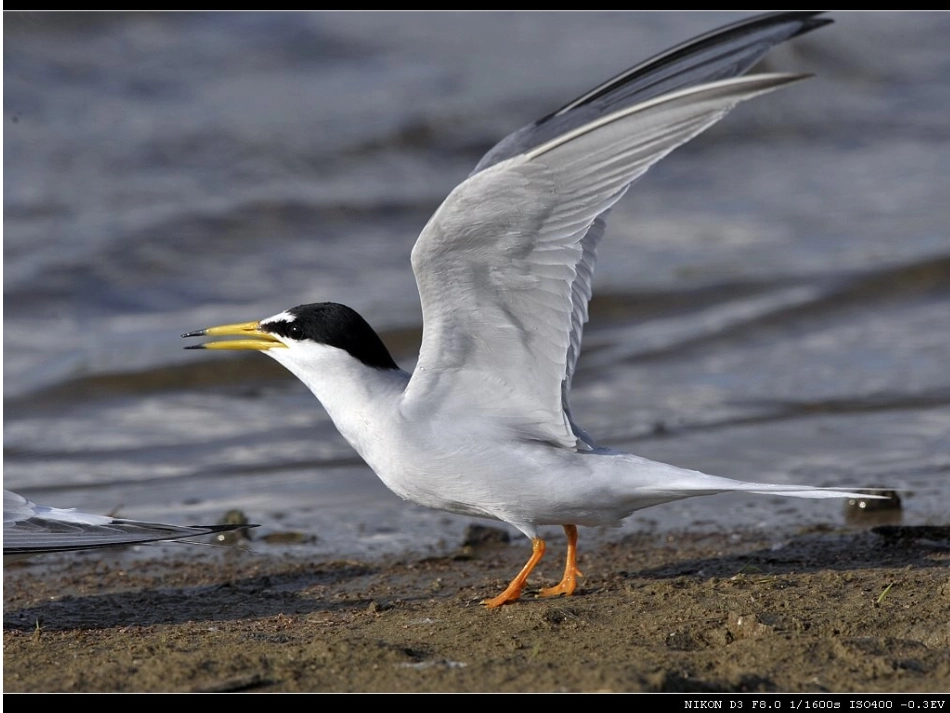 正比例函数课件_第2页