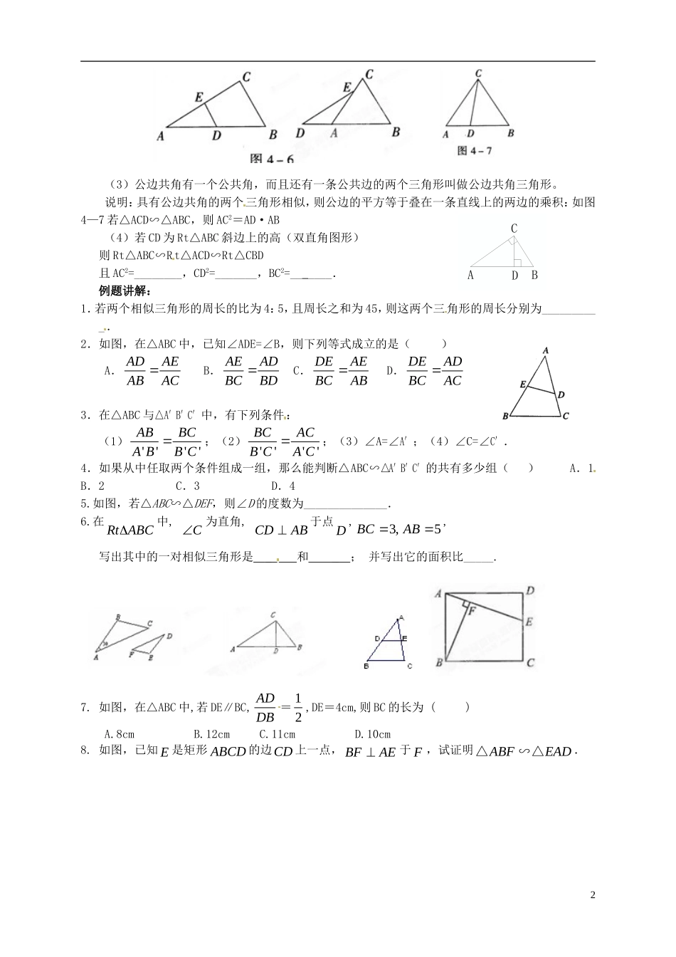 江苏省宿迁市宿豫区陆集初级中学中考数学-第19讲-相似三角形复习讲义-苏科版_第2页