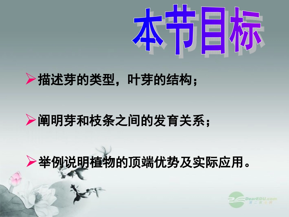 河北省深州市第一中学八年级生物上册《3.3-芽的发育》课件-冀教版_第3页