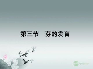 河北省深州市第一中学八年级生物上册《3.3-芽的发育》课件-冀教版