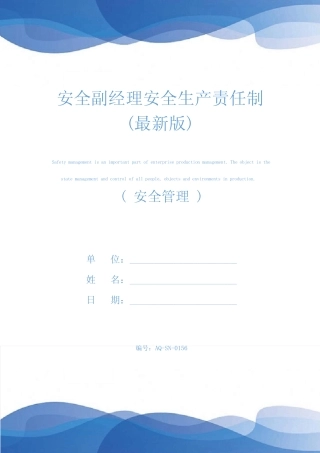 安全副经理安全生产责任制(最新版) 