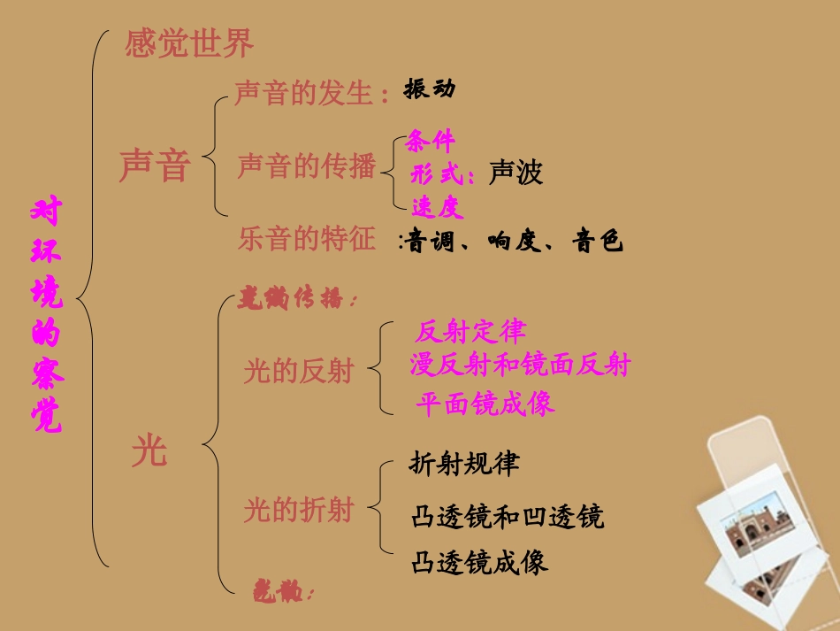 浙江省泰顺县第七中学七年级科学下册-第一章《对环境的察觉》课件2-浙教版_第2页