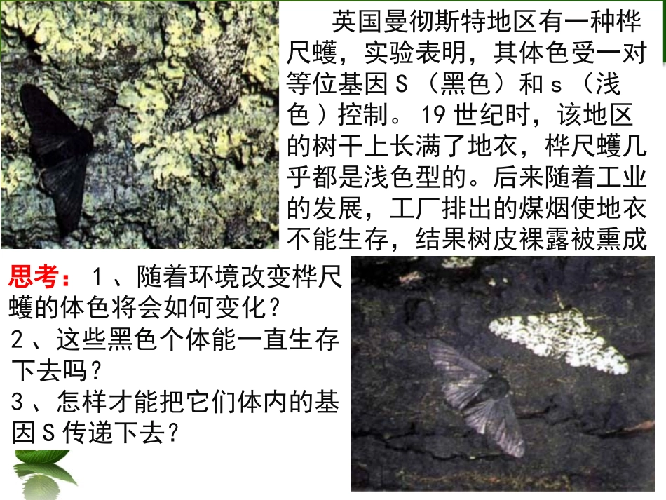 现代达尔文主义-(2)_第2页