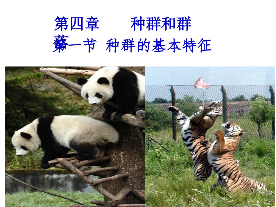 4.1《种群的特征》-课件-王卉_第1页