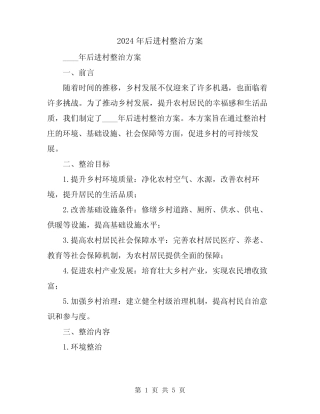 2024年后进村整治方案