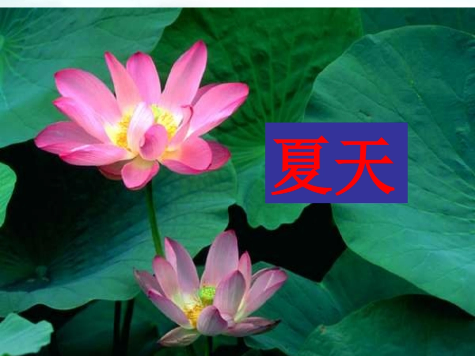 2、四季课件_第3页