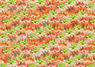 彩色印花纸：石榴纹-(红色)
