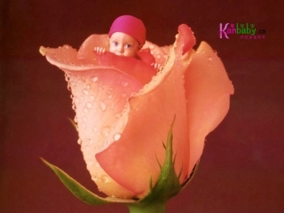 中班数学：给花宝宝排队