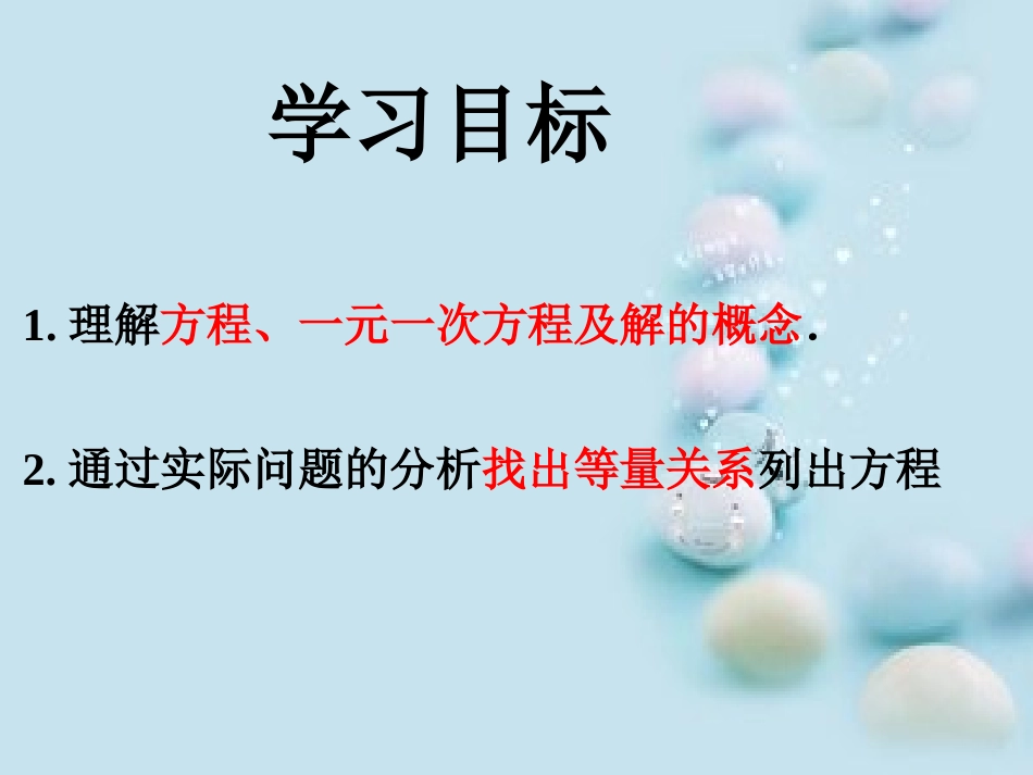 3.1.1-一元一次方程_第2页