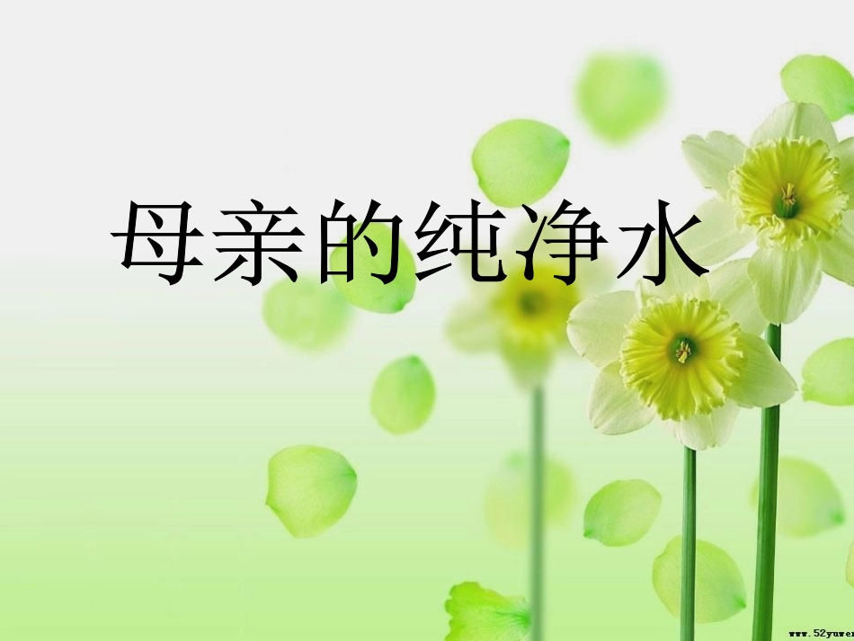 母亲的纯净水_第1页