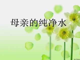 母亲的纯净水