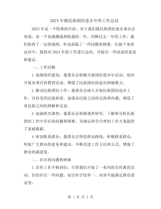 2024年镇民族团结进步年终工作总结