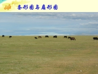 广东省珠海市金海岸中学八年级数学《条形图与统计图》课件-人教新课标版