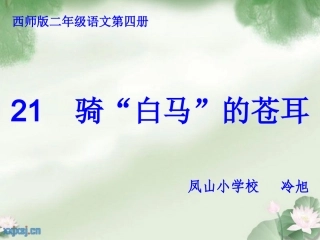 骑白马的苍耳2