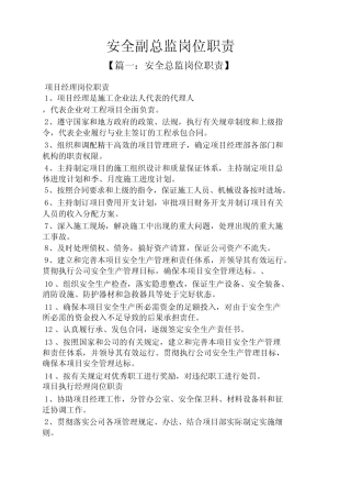 安全副总监岗位职责 