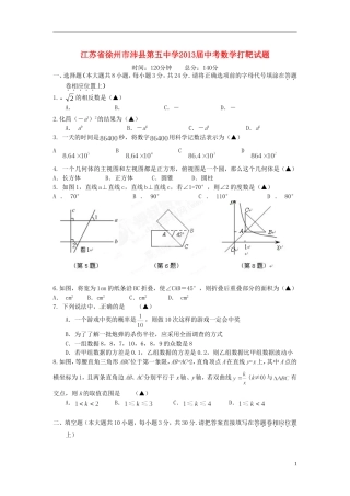 江苏省徐州市沛县第五中学2013届中考数学打靶试题