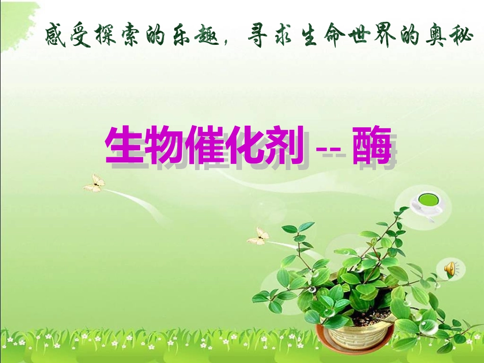 生物催化剂——酶_第1页
