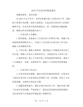 2024年自查自纠情况报告