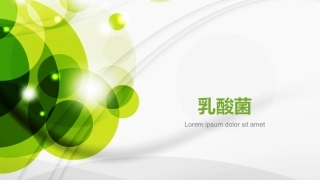 1组油镜下的乳酸菌