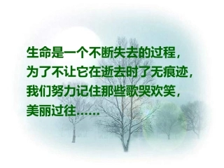 《项脊轩志》