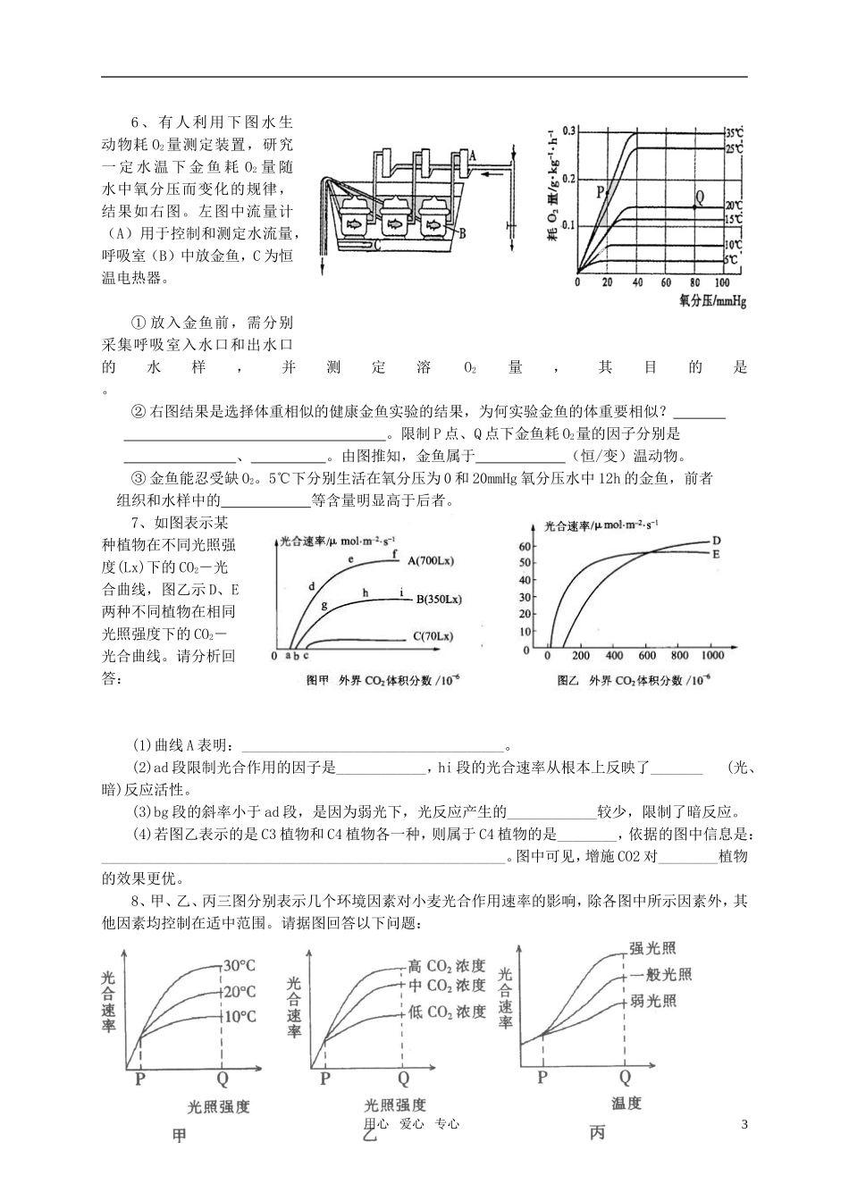 高中生物《能量之源——光与光合作用》同步练习3-新人教版必修1_第3页