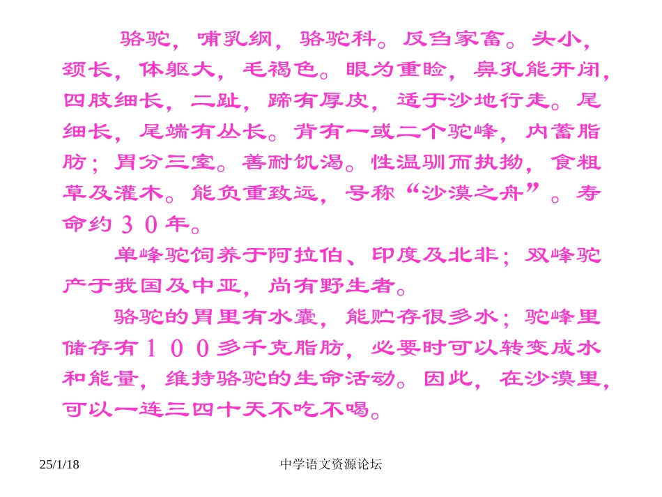 七年级语文骆驼寻宝记_第3页