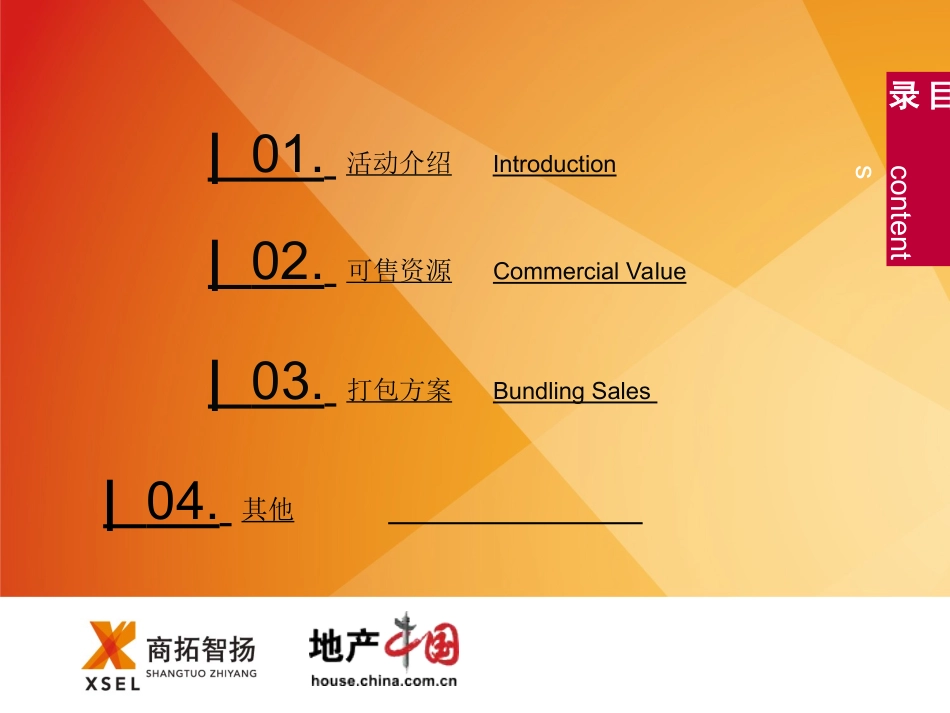 城市-中国国际峰会方案_第2页
