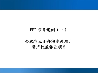 (1)合肥市王小郢污水处理厂资产权益转让项目