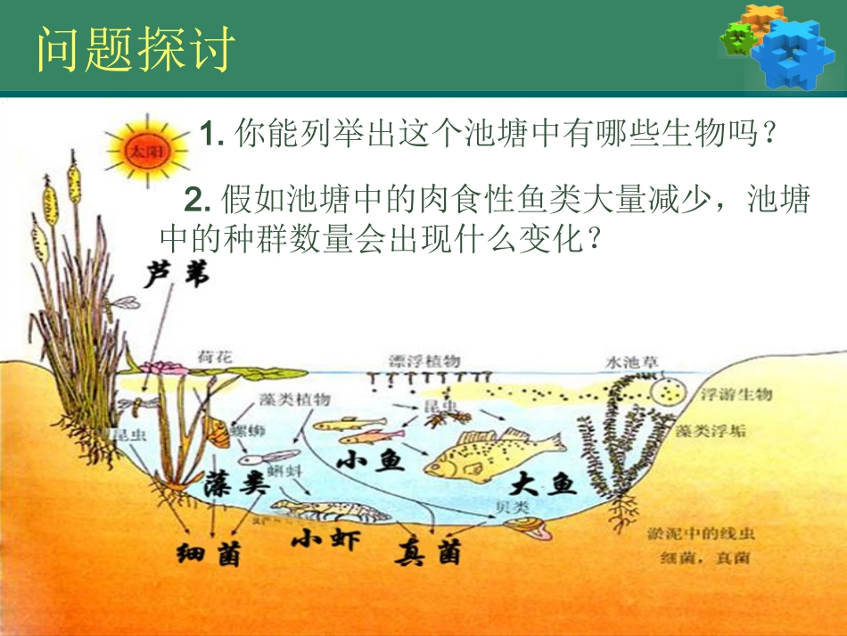 生物群落中的种间关系_第2页