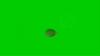 标识动画赛——魅力锐普