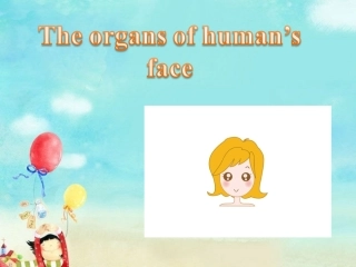 The-organs-of-human's-face