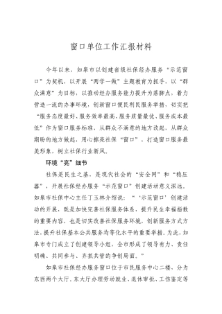 窗口单位工作汇报材料