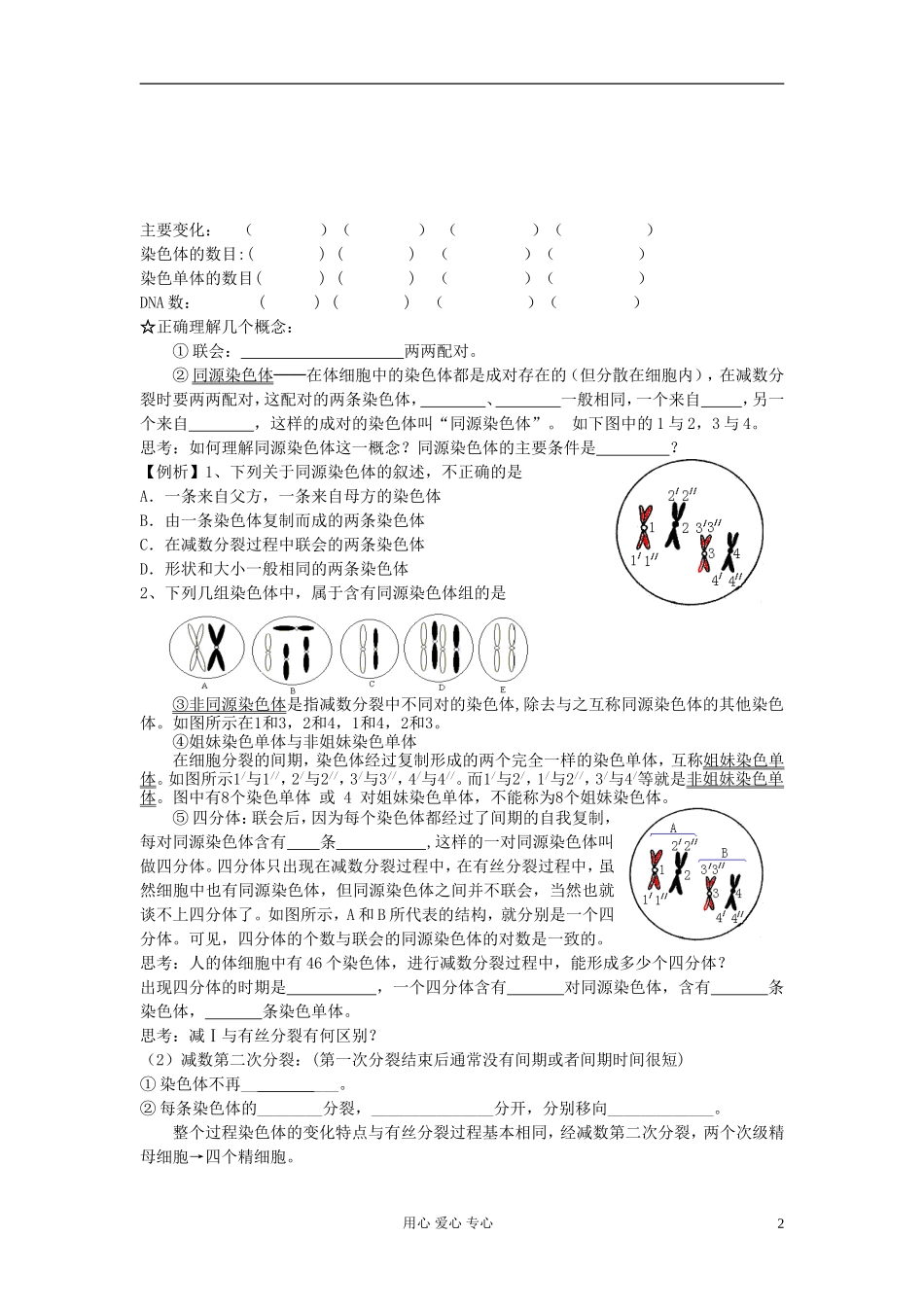 高中生物《减数分裂和受精作用》学案10-新人教版必修2_第2页