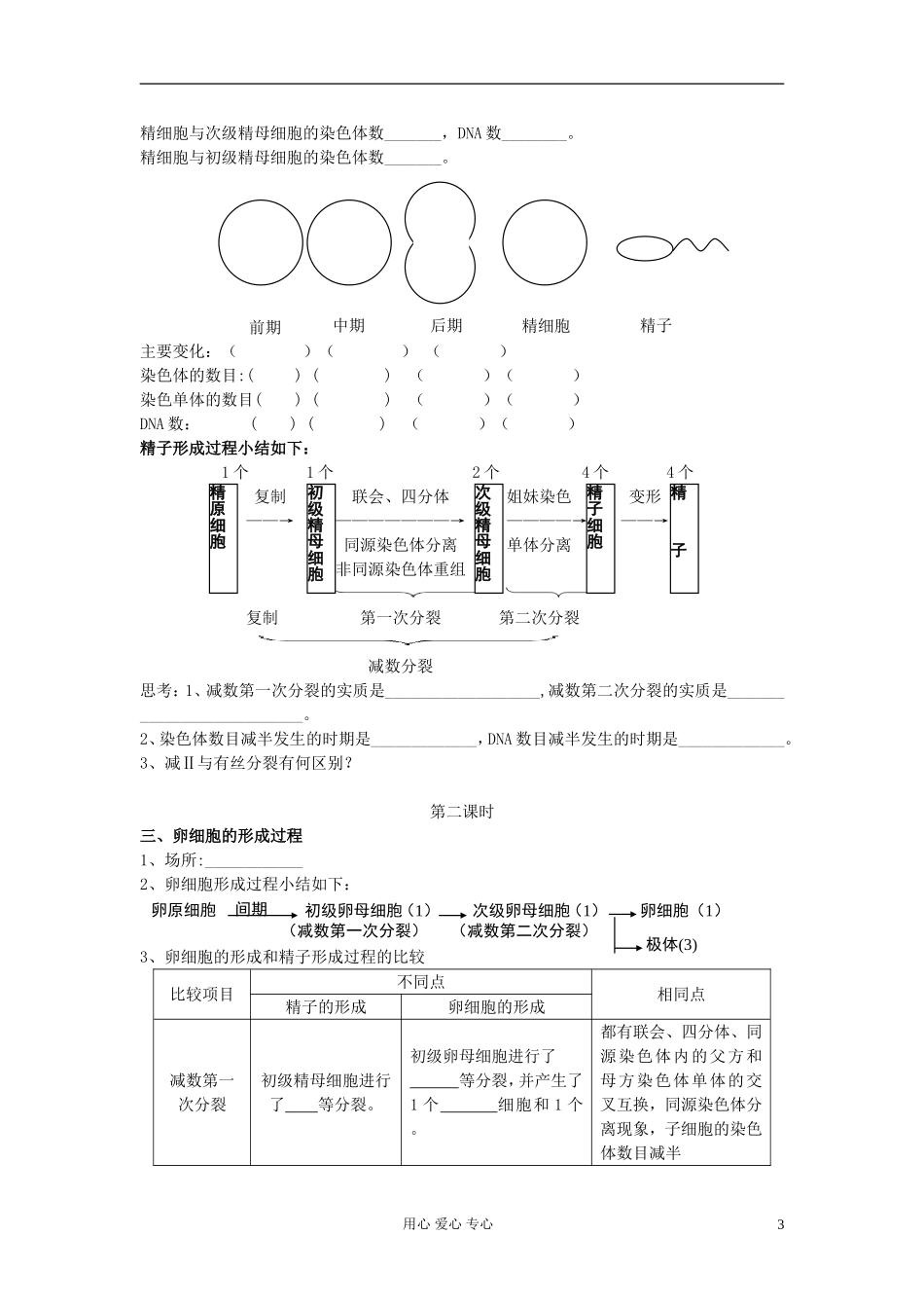 高中生物《减数分裂和受精作用》学案10-新人教版必修2_第3页