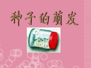 山西省太谷县明星中学七年级生物上册-第三章-第二节《种子的萌发》课件-新人教版