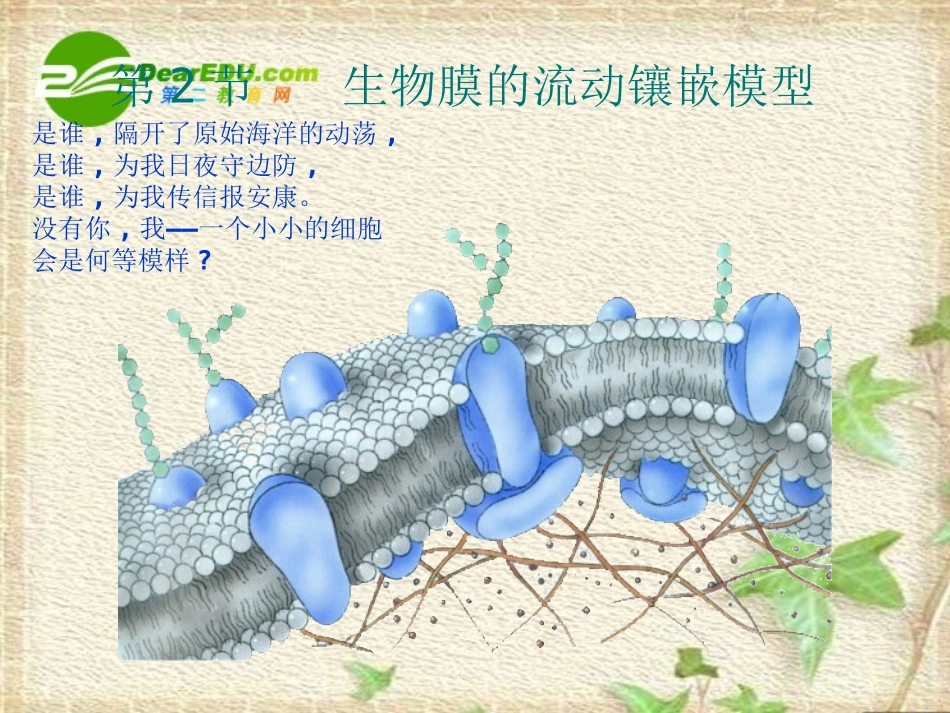高中生物：-42-生物膜的流动镶嵌模型(课件)人教版必修1_第1页
