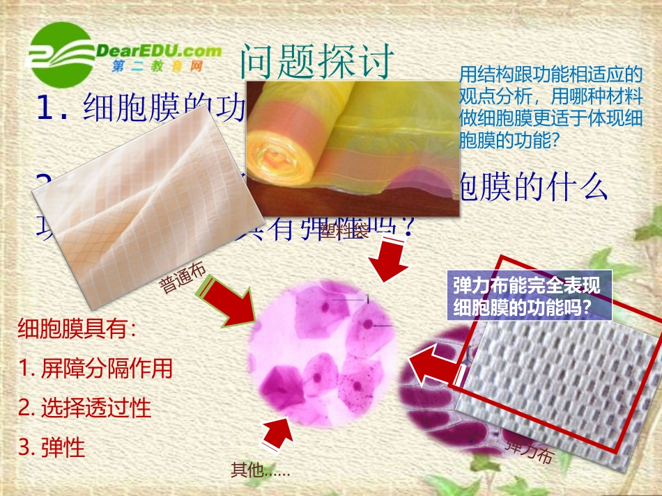 高中生物：-42-生物膜的流动镶嵌模型(课件)人教版必修1_第2页