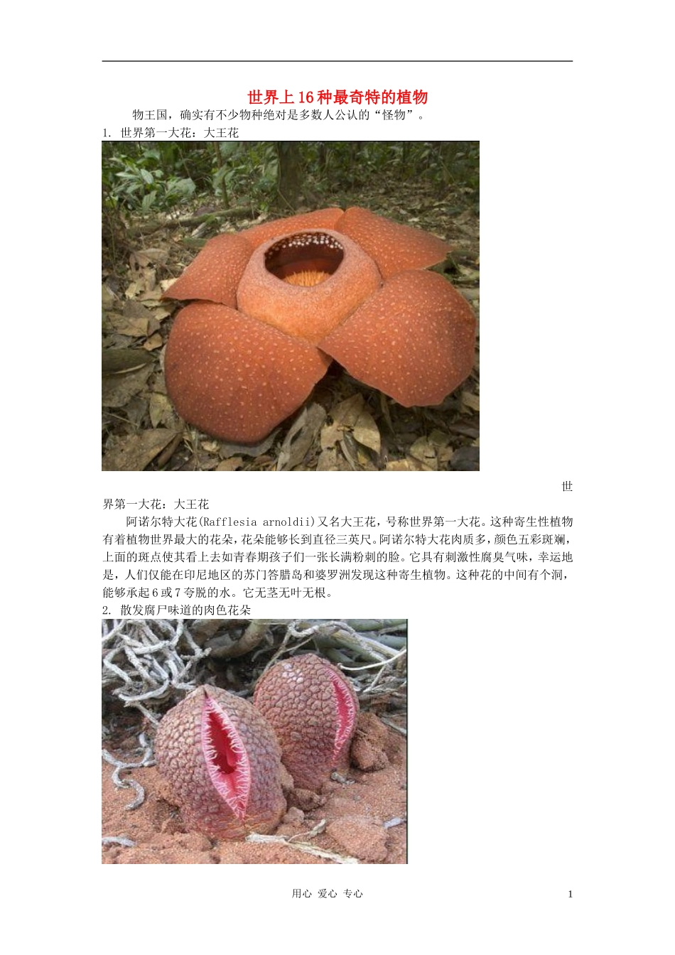 高中生物-世界上16种最奇特的植物素材_第1页