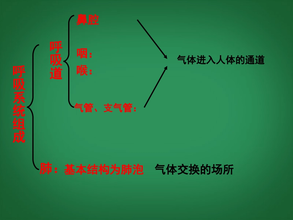 浙江省泰顺县新城学校八年级科学下册《2.4-生物是怎样呼吸的》课件-浙教版_第3页
